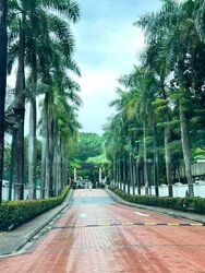 Northoaks (D25), Condominium #502146871